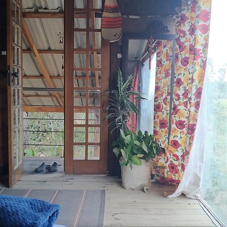 Hostel Holztel Sapiranga Oda fotoğraf